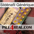 Sildénafil Générique new06